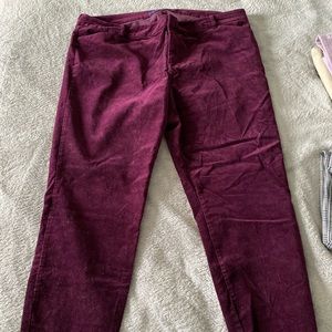 Pixie pant